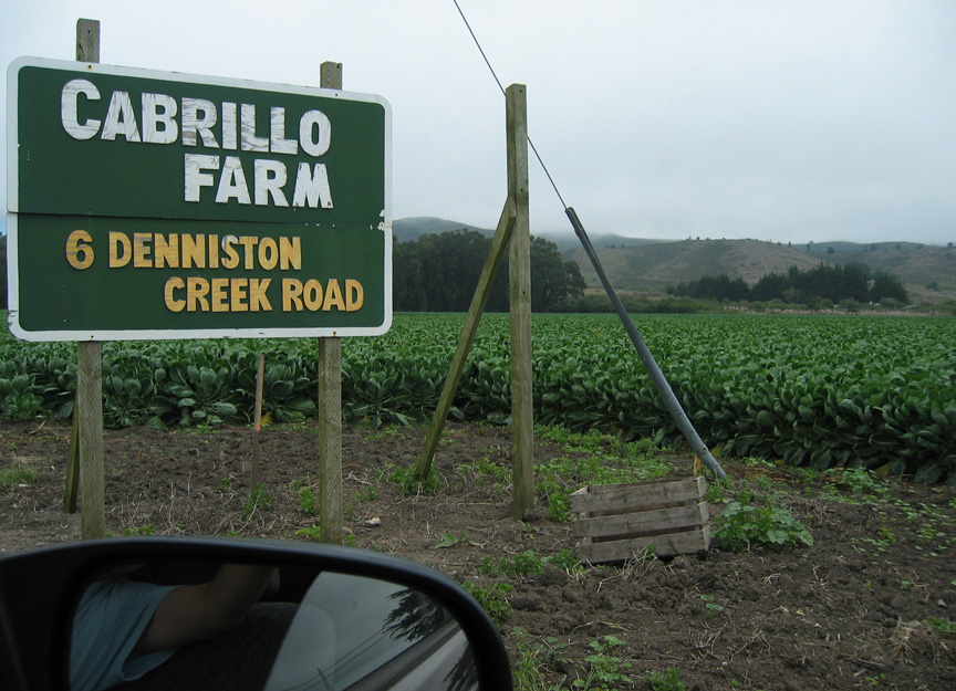 There are lots of farms on the way to Monterey!