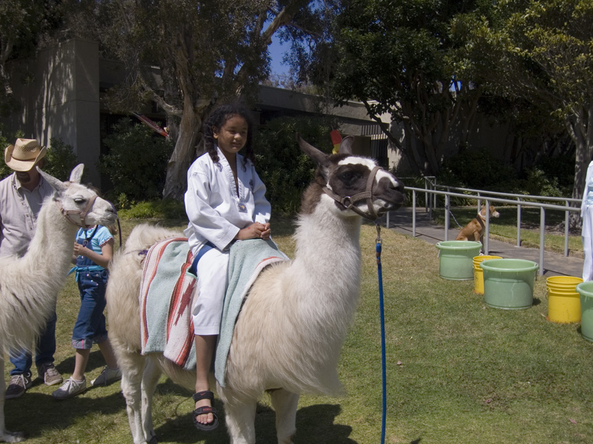 Mari goes for a llama ride!