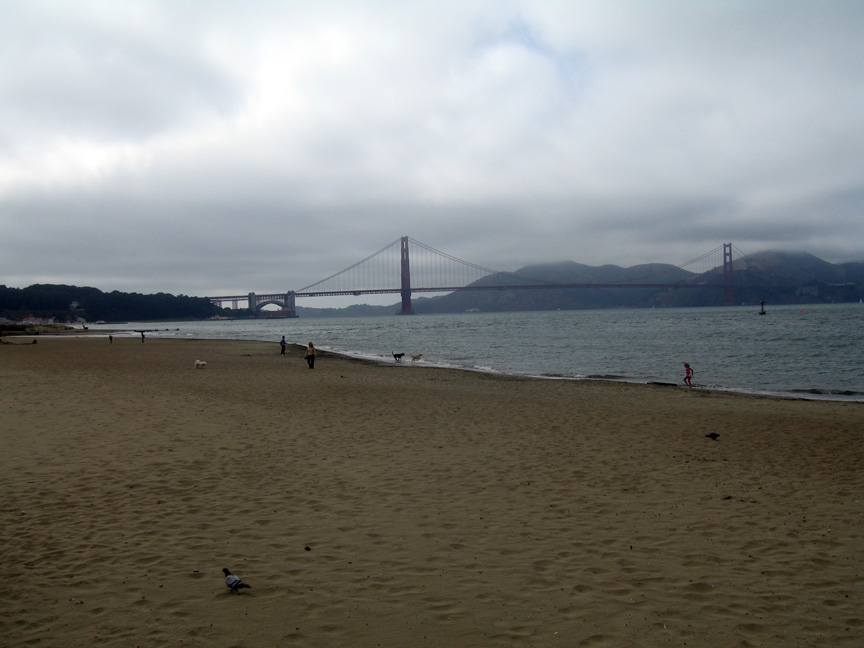 San Francisco Bay is lovely!