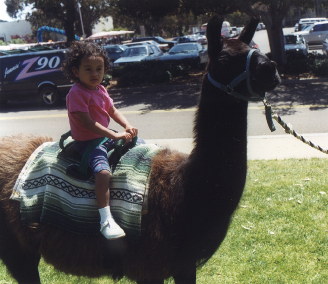 Mari rides a black llama!